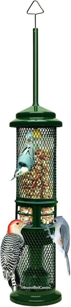 Test Mangeoire à noix Squirrel Buster anti-écureuils