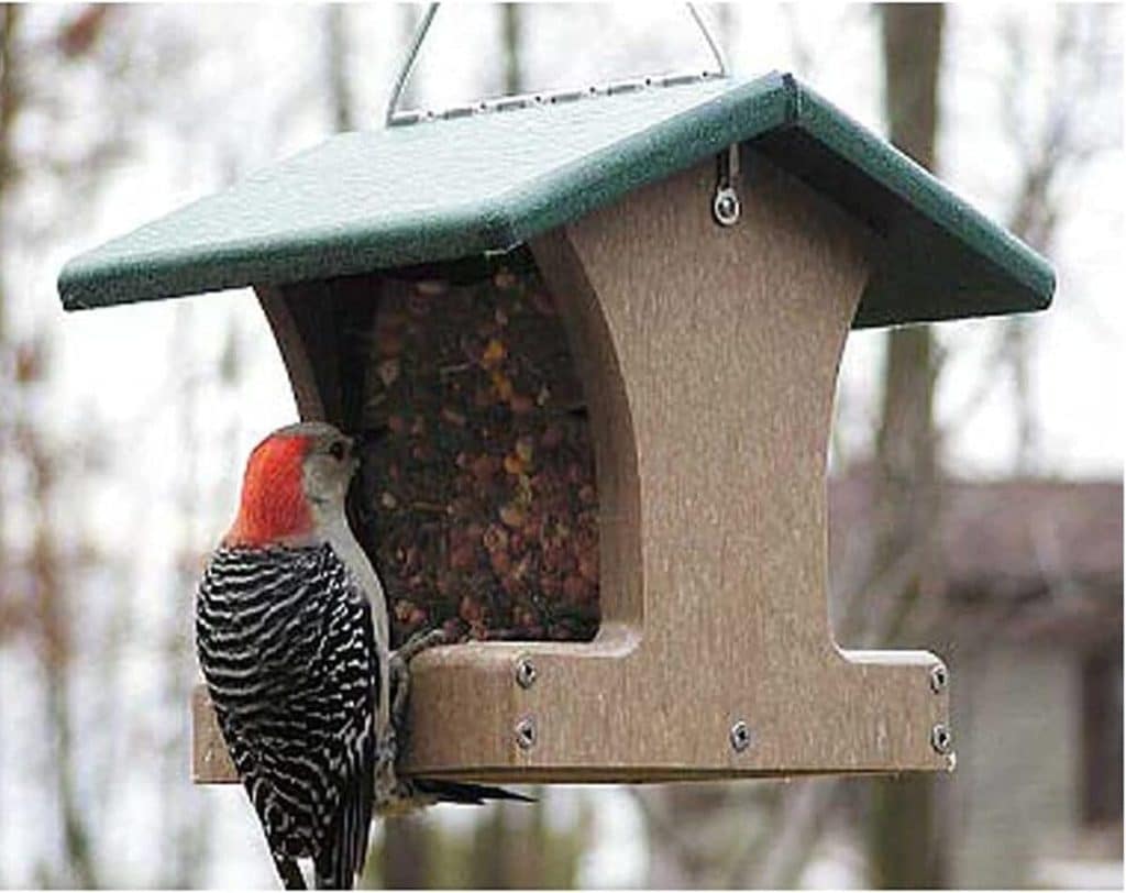 Test : mangeoire Oiseaux Choix 1, 5 QT avec toit vert