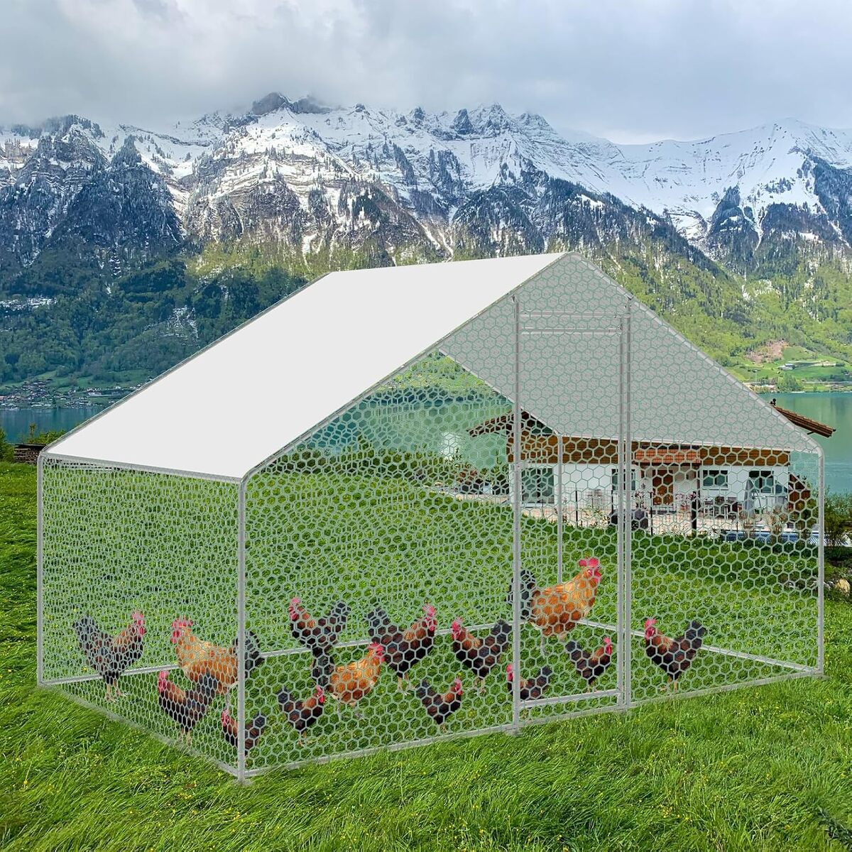 Test poulailler Cecaylie 12 m² en métal
