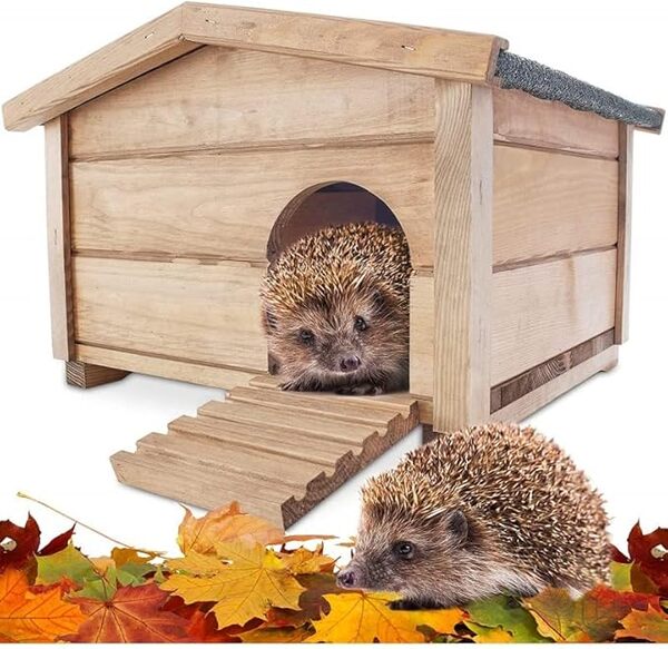 Abri Cabane Mangeoire Hérisson Refuge éxtérieur Robuste en Bois Massif de Haute qualité Hibernation Hiver 323 Ruby