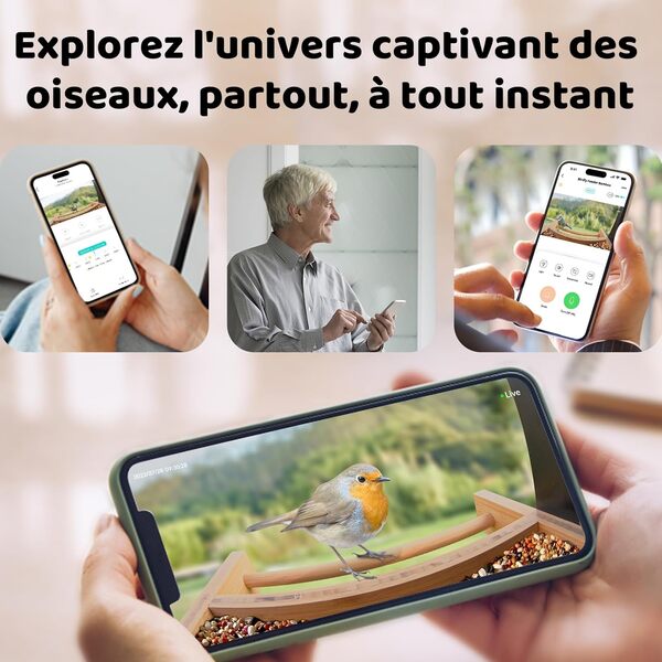 NETVUE Mangeoire Oiseaux avec Camera IA et panneau solaire, Mangeoire en bambou extérieure sur pied, distributeur graines oiseaux sauvages, observation oiseaux sur mobile, capture d'images/vidéos auto