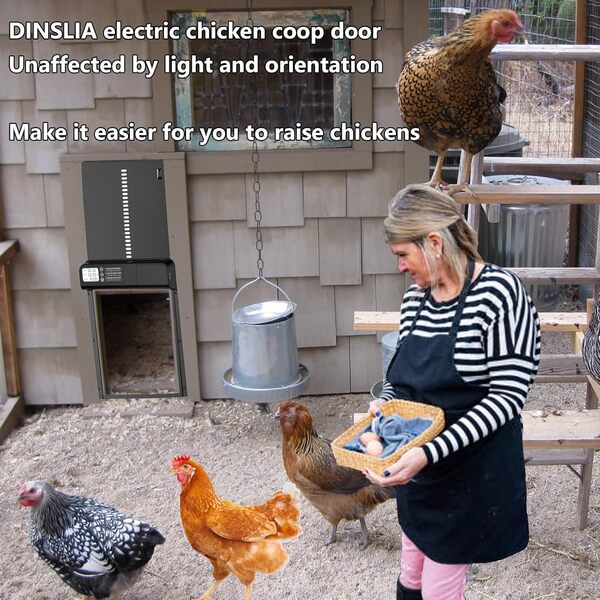 DINSLIA Porte de poulailler automatique en aluminium épais alimenté par piles avec écran LCD minuteur et porte étanche