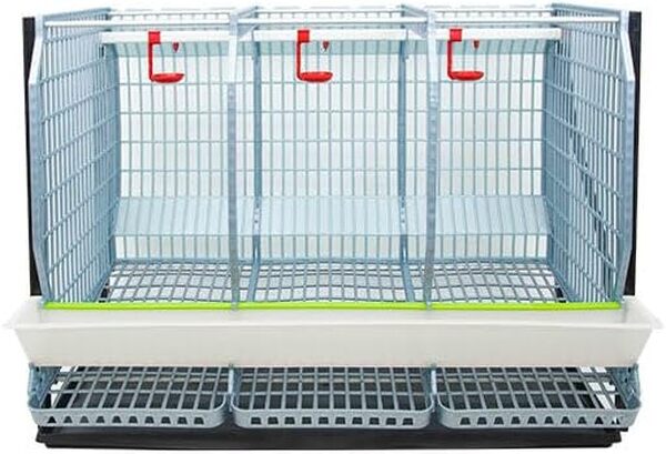 Hatching Time Cimuka Cage à poulet 1 couche H : 55,9 cm (lavable en puissance, durable, plastique ABS)