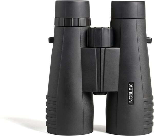 Jumelles NOBLEX NF 8x56 Vector | Optimisées pour Le crépuscule | Jumelles d'extérieur Haut de Gamme pour Adultes pour l'observation des Oiseaux, la randonnée ou la Chasse | Noir