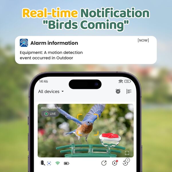 Mangeoire Oiseaux Exterieur Camera Solaire: 2K HD Camera WiFi Exterieure sans Fil - Nichoir Mesange Exterieur Abreuvoir Oiseaux Sauvages IP66 - Enfant Parent Cadeaux d'amoureux des Oiseaux