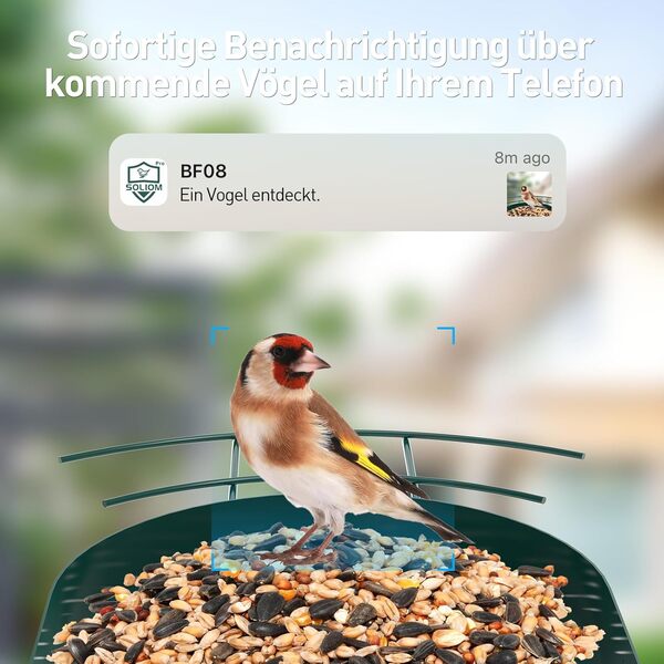SOLIOM BF08 Mangeoire à Oiseaux Avec Appareil Photo et Enregistrement Vidéo - Caméra WiFi et Distributeur Automatique de Nourriture Pour l'Arrière-Cour