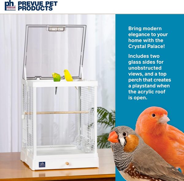 Prevue Pet Products Cage à Oiseaux en Verre Transparent pour Petits Oiseaux Cadre Blanc