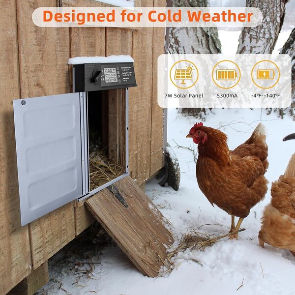 Doirdon Porte automatique de poulailler à énergie solaire, 【Batterie par temps froid】 Porte électrique à poule 【Grande taille】 Porte en aluminium avec 4 modes d'ouverture et mode d'urgence hors