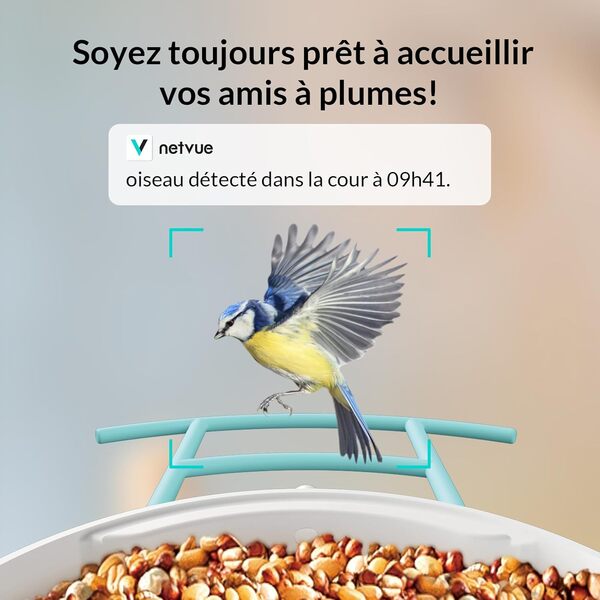 NETVUE Mangeoire à Oiseaux avec Caméra, Observez Les Oiseaux sur APP Téléphone en Temps Réel, Capture Auto d'Images/Vidéos, Mangeoire Oiseaux Camera Extérieure sans Fil, Notification Instantanée