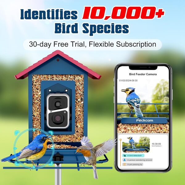 PeckCam Mangeoire intelligente pour oiseaux avec appareil photo, bleu