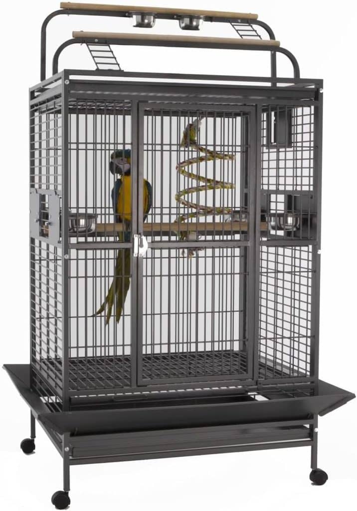 Test : cage perroquet Sun Cages complète pour grands oiseaux