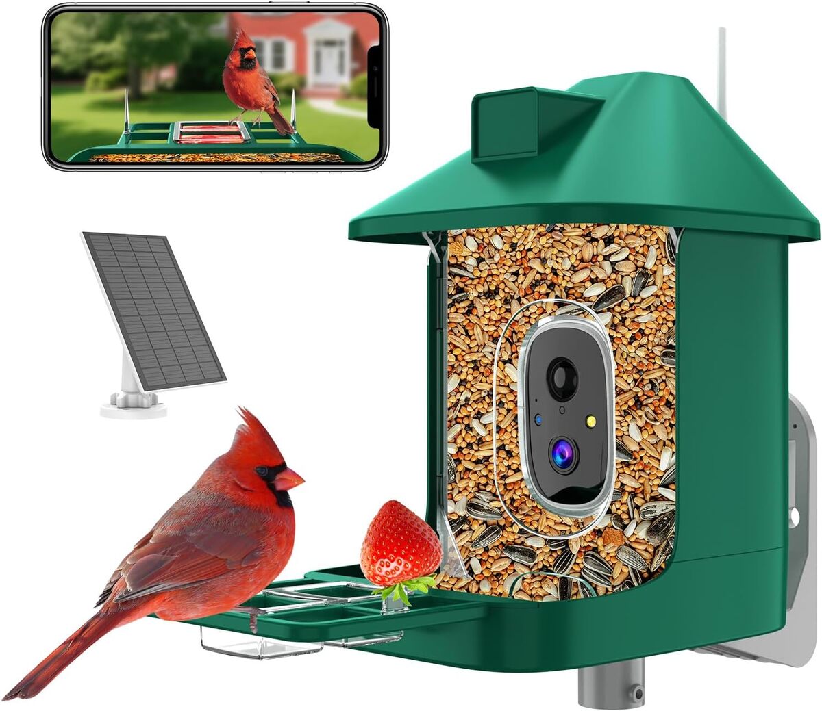 Test de la mangeoire à oiseaux avec caméra