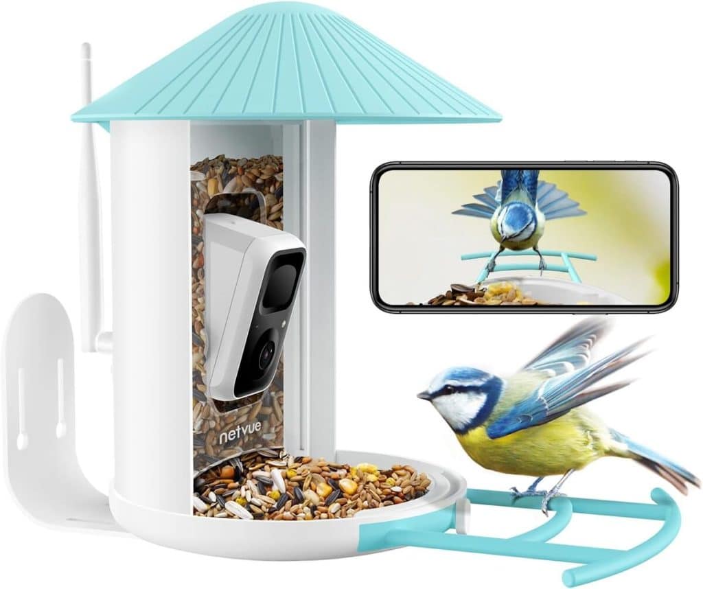 Test de la mangeoire à oiseaux Birdfy NETVUE avec caméra sans fil