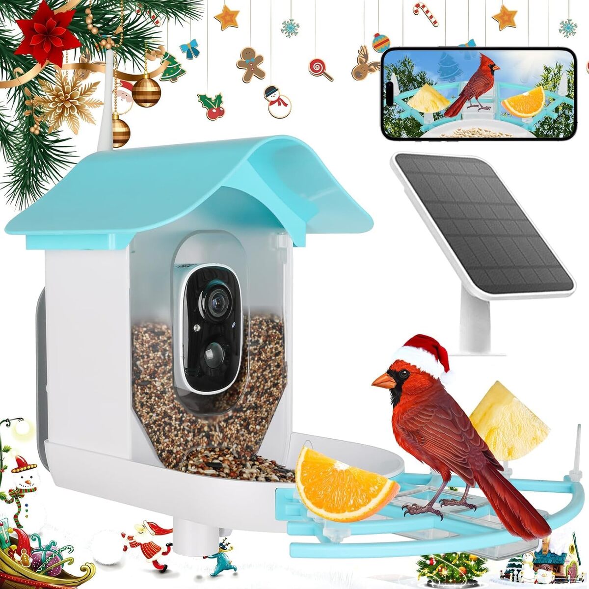 Test de la mangeoire à oiseaux intelligente caméra et panneau solaire