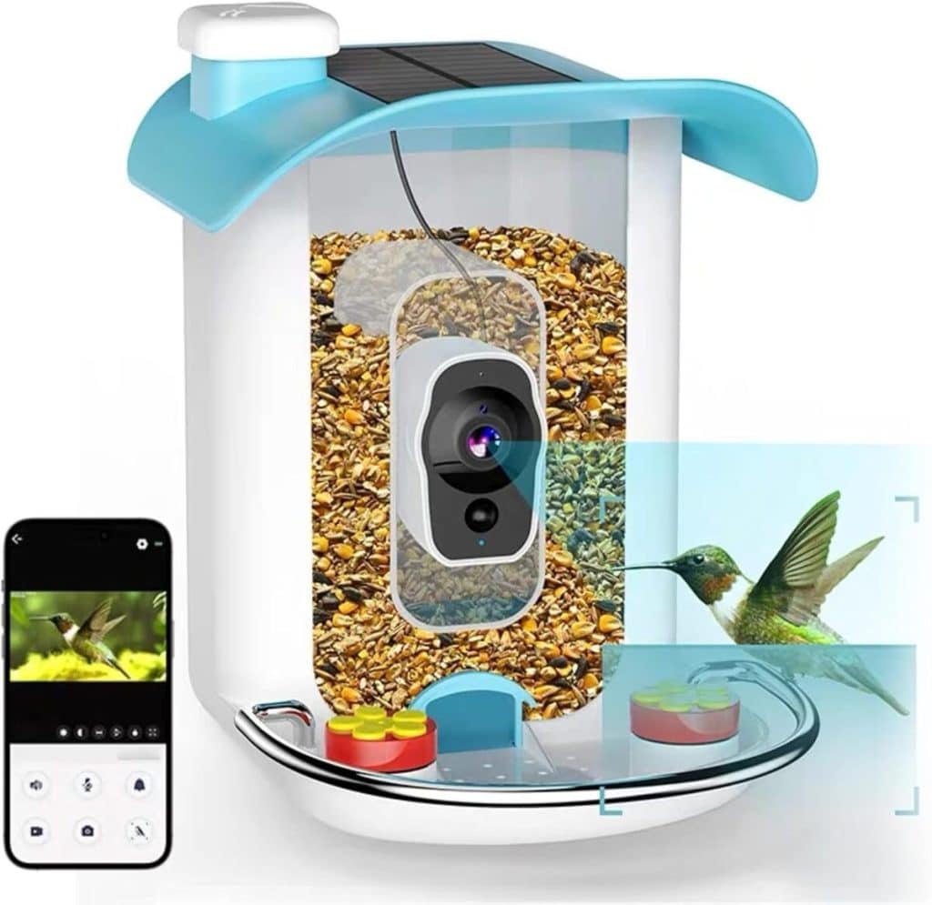 Test de la mangeoire intelligente avec caméra 4K WiFi solaire