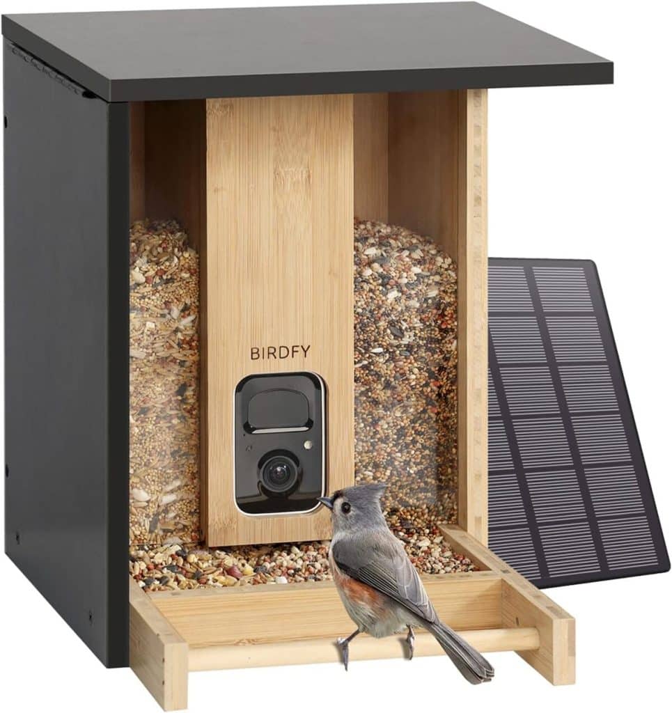 Test de la mangeoire NETVUE avec caméra IA et panneau solaire