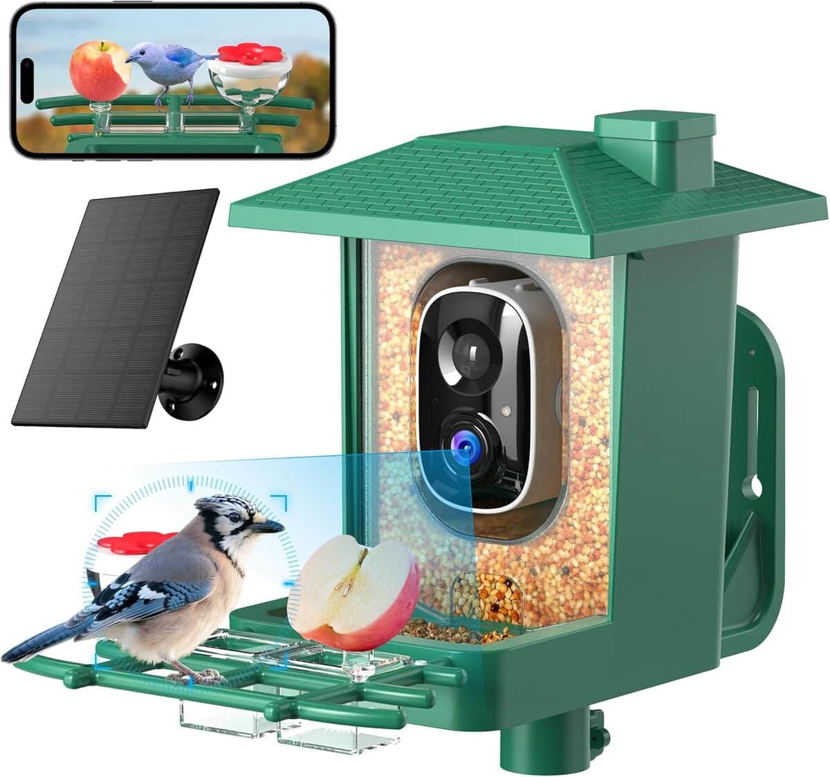 Test de la mangeoire oiseaux 2K HD avec caméra solaire WiFi