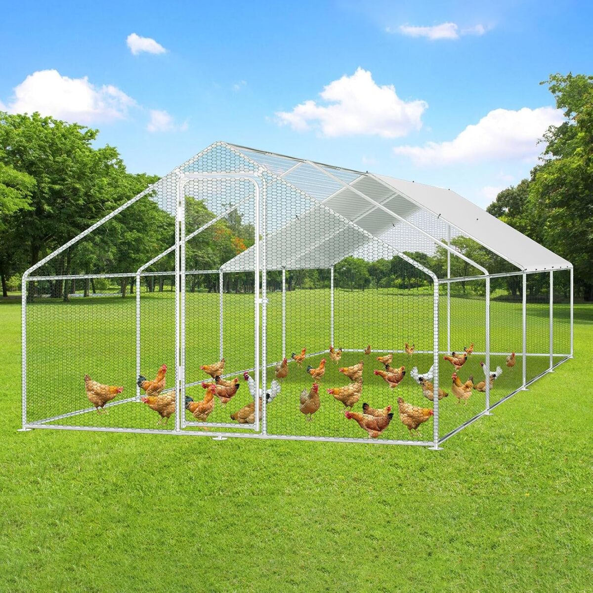 Test de l'enclos Jopassy en acier galvanisé pour petits animaux