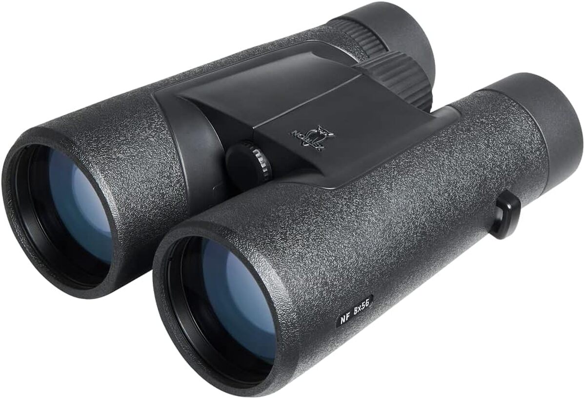 Test des jumelles Noblex NF 8x56 Inception : idéales pour le crépuscule