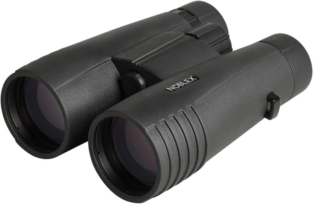 Test des jumelles Noblex NF 8x56 Vector : performance crépusculaire exceptionnelle