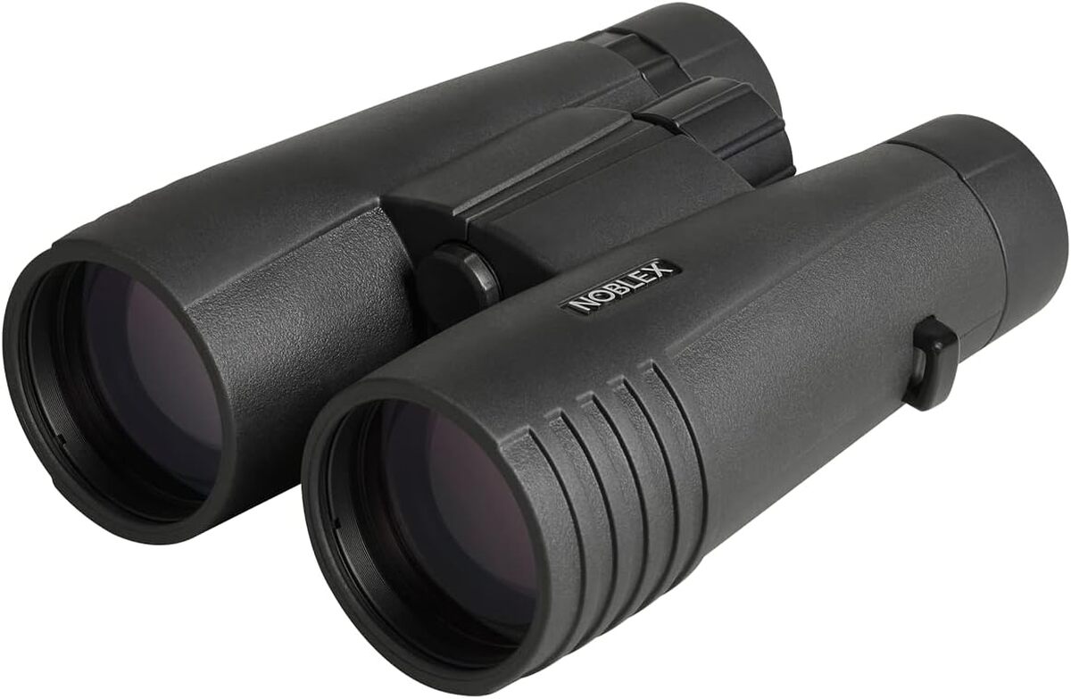 Test des jumelles Noblex NF 8x56 Vector : performance crépusculaire exceptionnelle