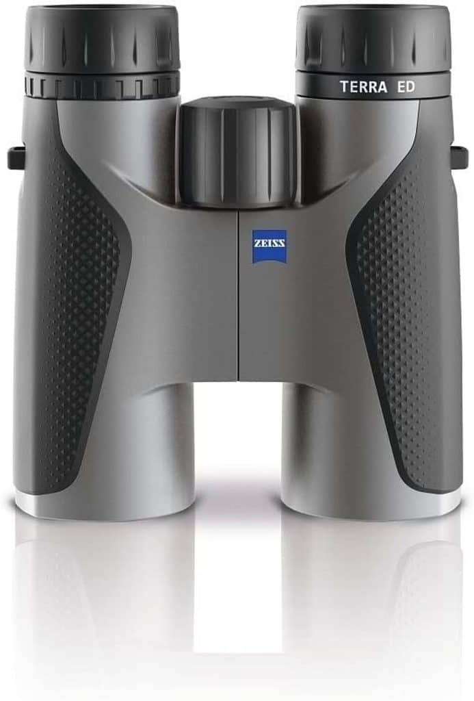Test des jumelles Zeiss Terra Ed 8 x 42 : clarté et étanchéité