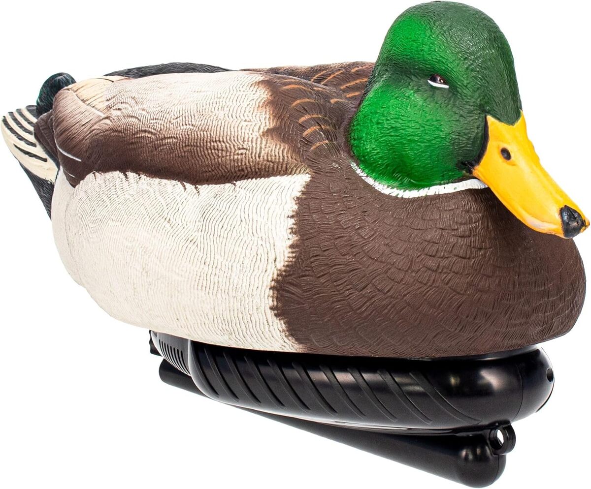Test du leurre de canard Avian-X Avx-psw-mdlh multicolore