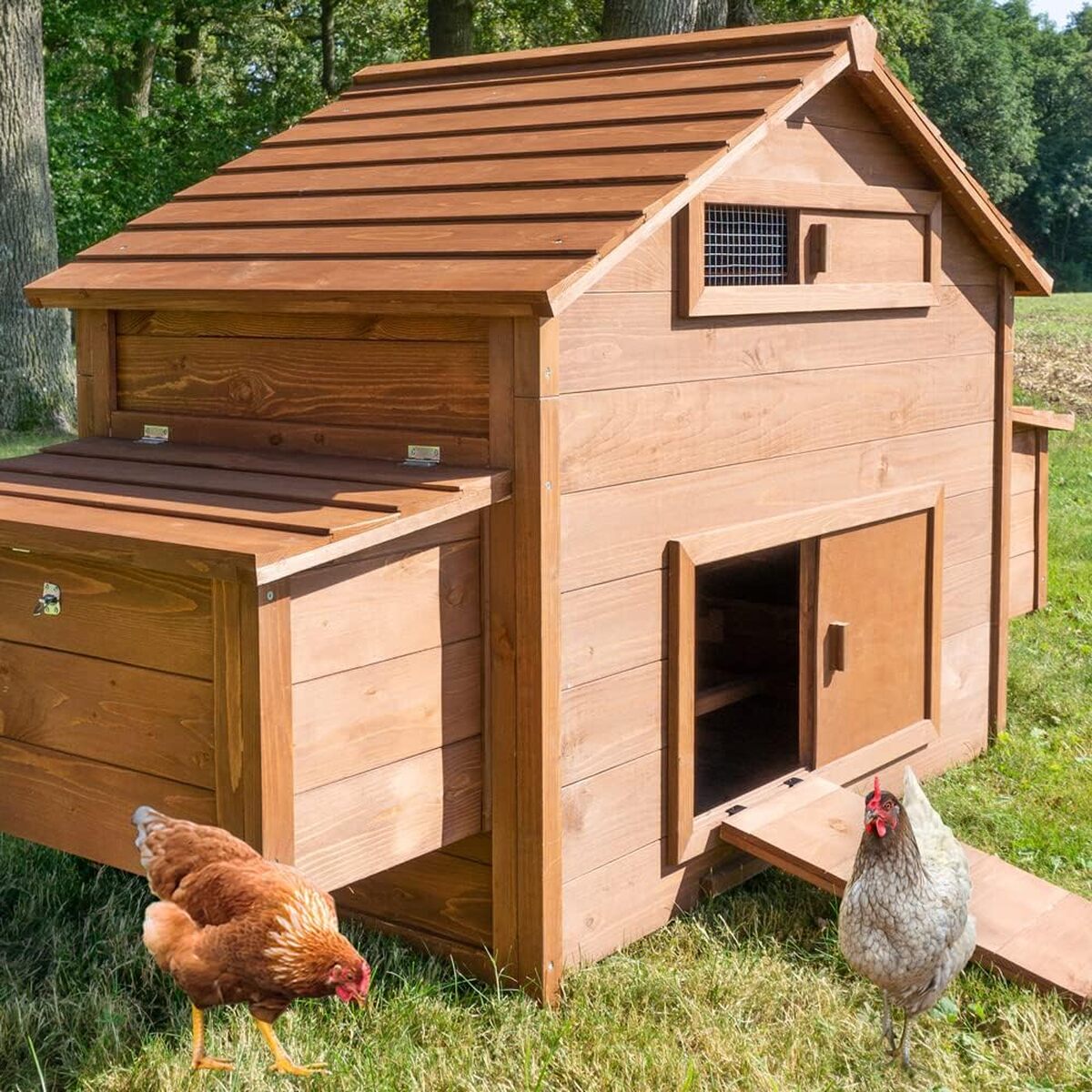 Test du poulailler en bois Ferme de Terrain modèle 154