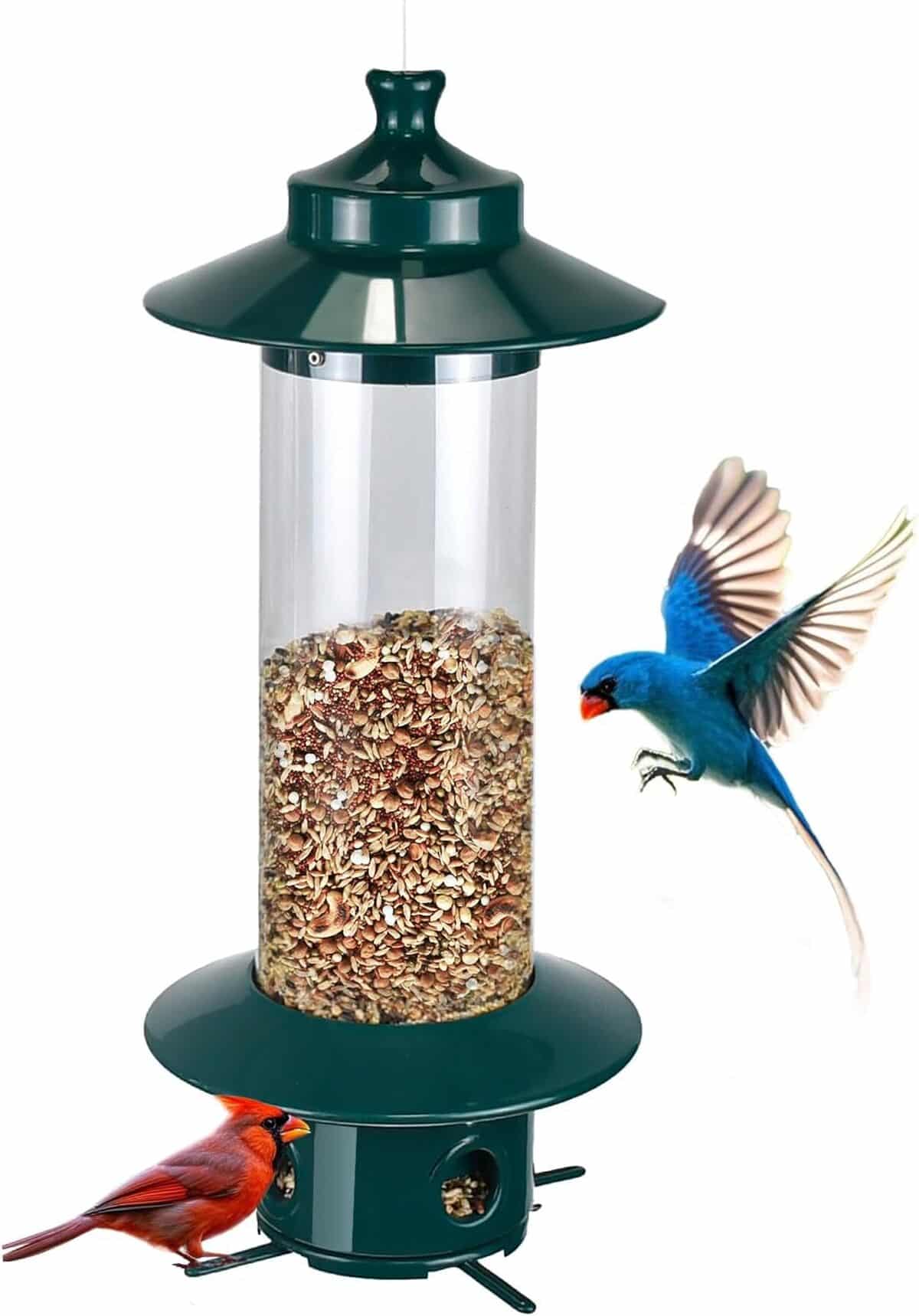 Test mangeoire à oiseaux pour fenêtre