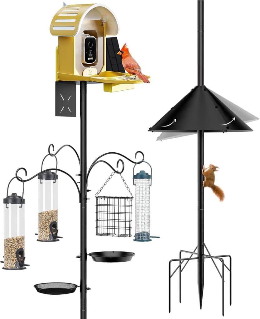 Test : mangeoire à oiseaux résistante aux écureuils, 233 cm