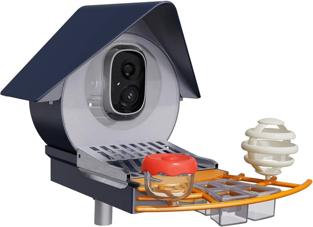 Test : mangeoire solaire intelligente Birdkiss