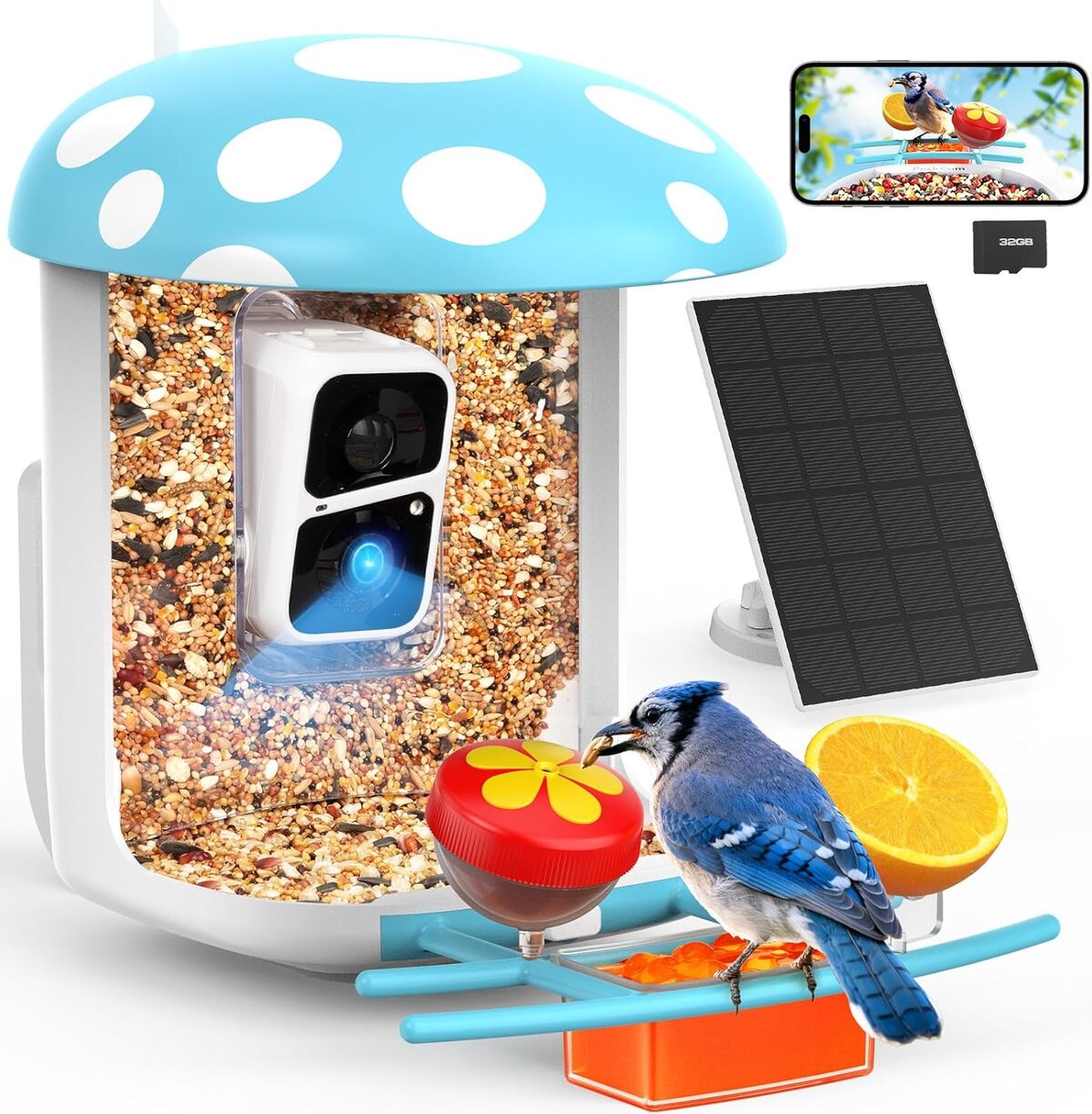 Test PeckCam : mangeoire à oiseaux avec appareil photo bleu