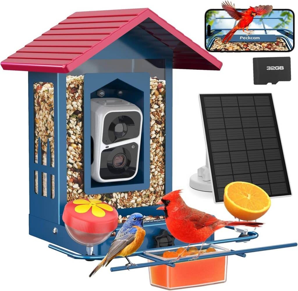 Test : peckCam mangeoire intelligente bleue avec appareil photo