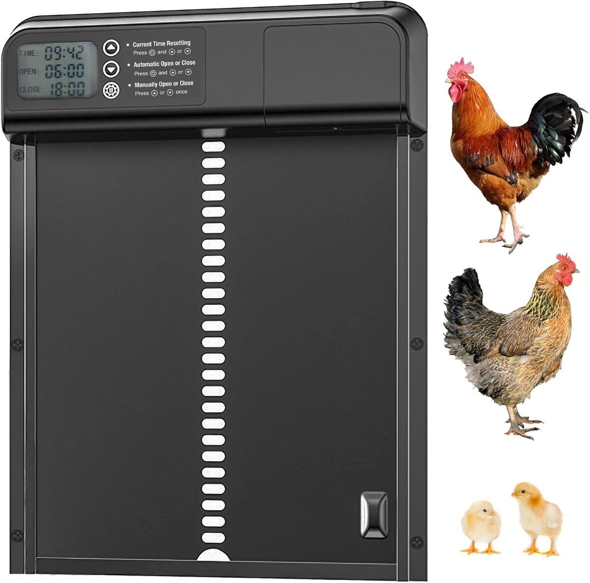 Test : porte de poulailler automatique DINSLIA en aluminium avec minuteur et écran LCD