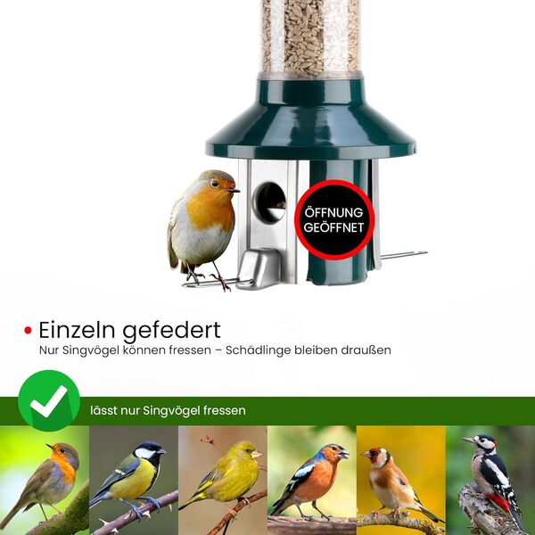 Roamwild Mangeoire à Oiseaux Sauvage Anti-écureuil PestOff (Mixed Seed)