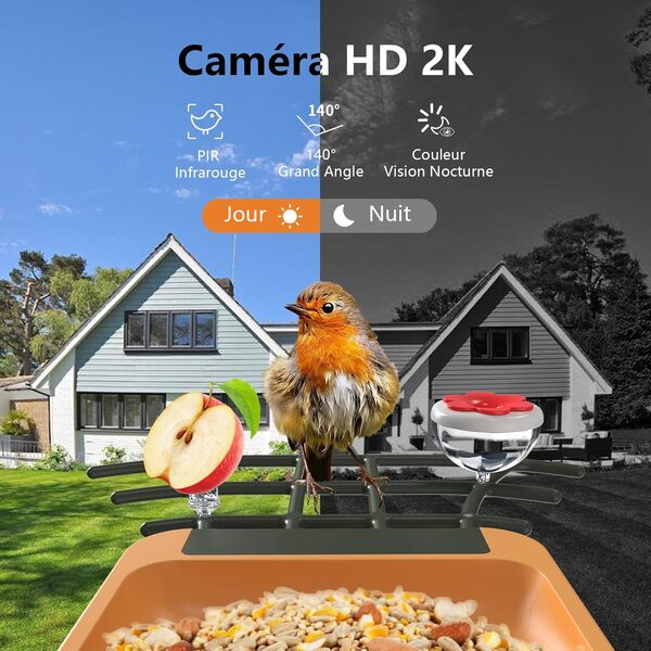 Mangeoire à Oiseaux avec Caméra Identification AI des Oiseaux Vision Nocturne HD 2K IP65 Etanche Mangeoire Oiseaux Exterieur Panneau Solaire Capture Auto Notification Instantanée