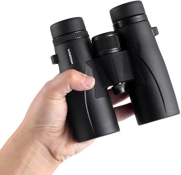 Jumelles Skyview Ultra HD 8x42 De Wingspan Optics - pour Observer Les Oiseaux avec du Verre Ed - Imperméable, Antibuée, avec Un Large Champ De Vision Et Une Mise Au Point Rapprochée, Ultra HD