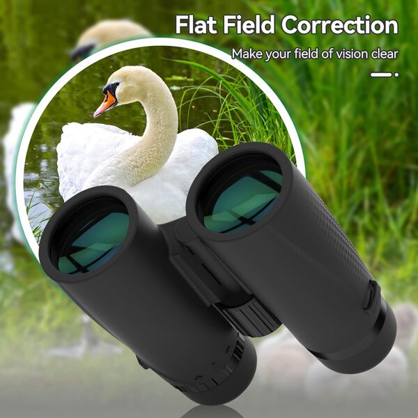 Svbony SA205 Jumelles pour Adultes, 10x42 Verre Ed Correction de Champ Plat BAK4, FMC Lentille Haute Puissance IPX7 étanche, Grande Oculaire Clair Vision, pour Observation des Oiseaux Chasse