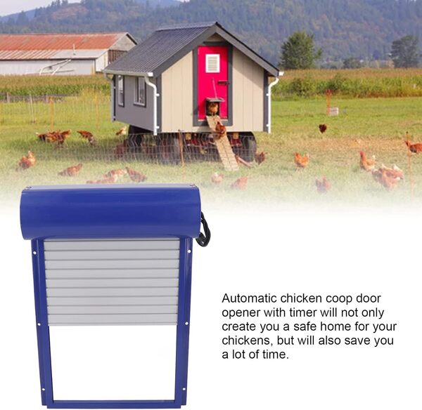 ZJchao Porte de Poulailler Automatique, Ouvre-Porte de Poulet à énergie Solaire, Minuterie Programmable Quotidienne, Ouvre-Porte de Poulet électrique pour Un élevage de Poulet en Toute