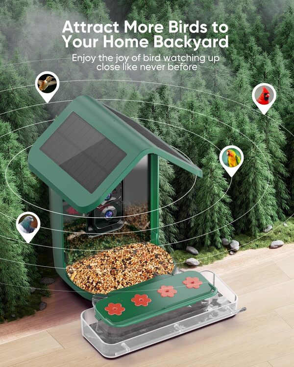 Mangeoire à oiseaux avec appareil photo – Alimentée par l'énergie solaire, Ai Smart Capture automatique des oiseaux vidéo et notifications – Cadeau pour les amoureux des oiseaux et la famille