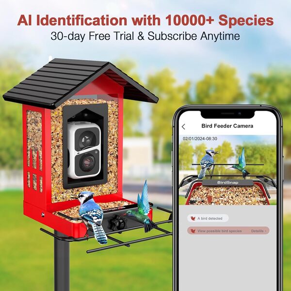 birdsnap® APS – Mangeoire à oiseaux en métal avec panneau solaire et carte de 32 Go, identifie plus de 10 000 oiseaux, vue en direct 2K HD enregistrement automatique des vidéos d'oiseaux, cadeau de