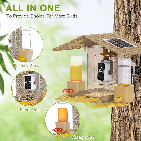 Mangeoire intelligente pour oiseaux avec caméra à énergie solaire, 1080p HD AI, identifie les oiseaux sauvages et observe les colibris à l'extérieur, pour capturer automatiquement des vidéos d'oiseaux