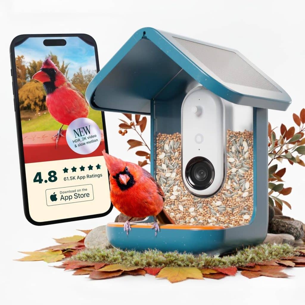 Test Bird Buddy Pro : mangeoire intelligente avec caméra et IA
