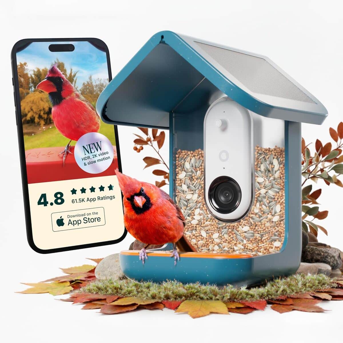Test Bird Buddy Pro : mangeoire intelligente avec caméra et IA