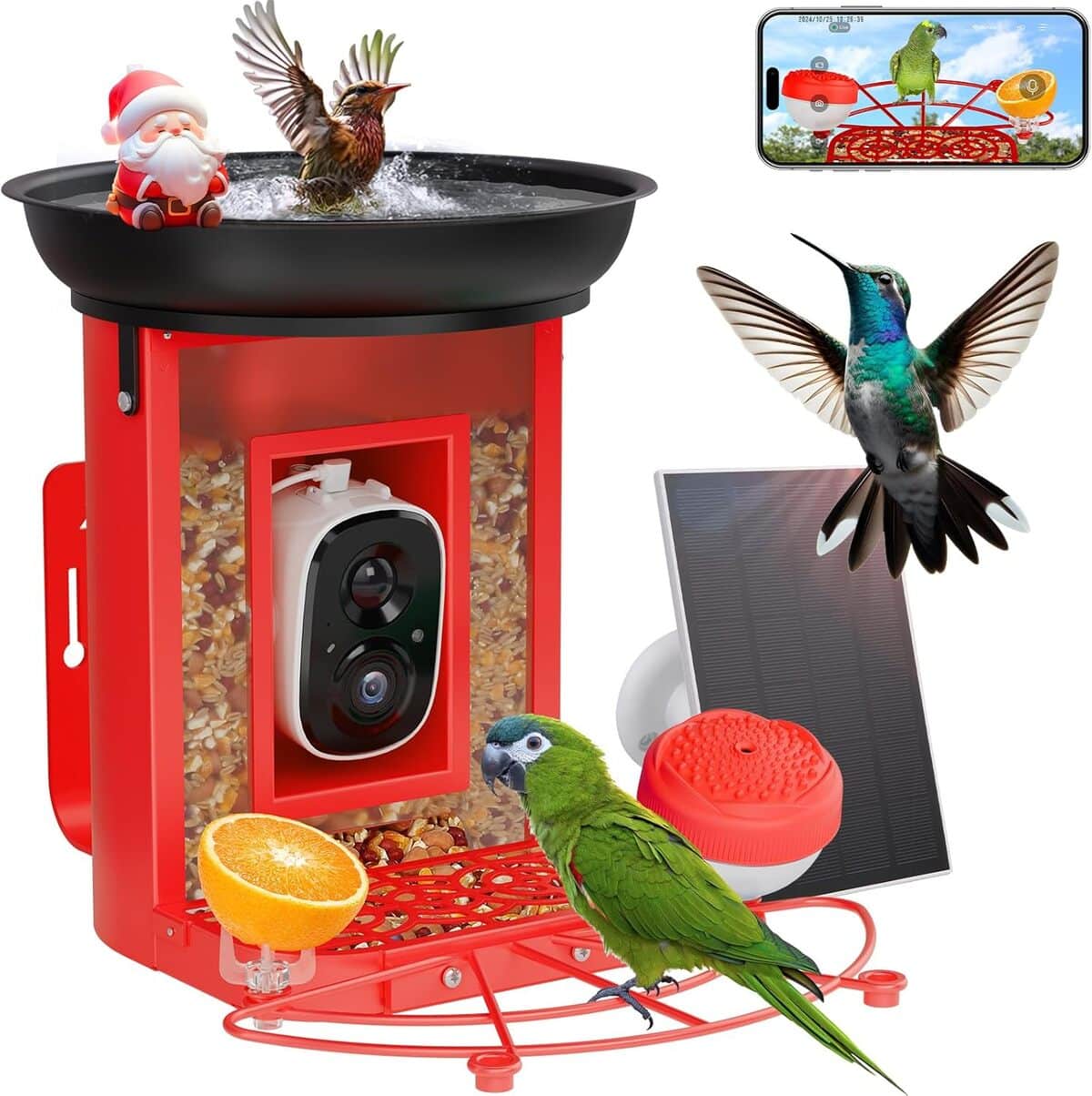 Test : caméra d'alimentation pour oiseaux 3 en 1 avec identification AI