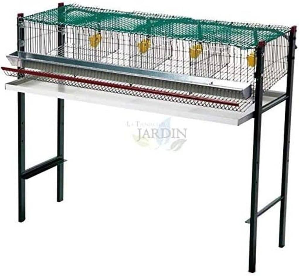 Test de la cage à oiseaux Suinga galvanisée 4 départements