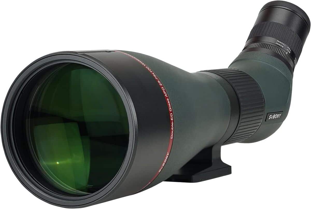 Test de la longue vue Svbony SA401 : performance apochromatique et digiscoping