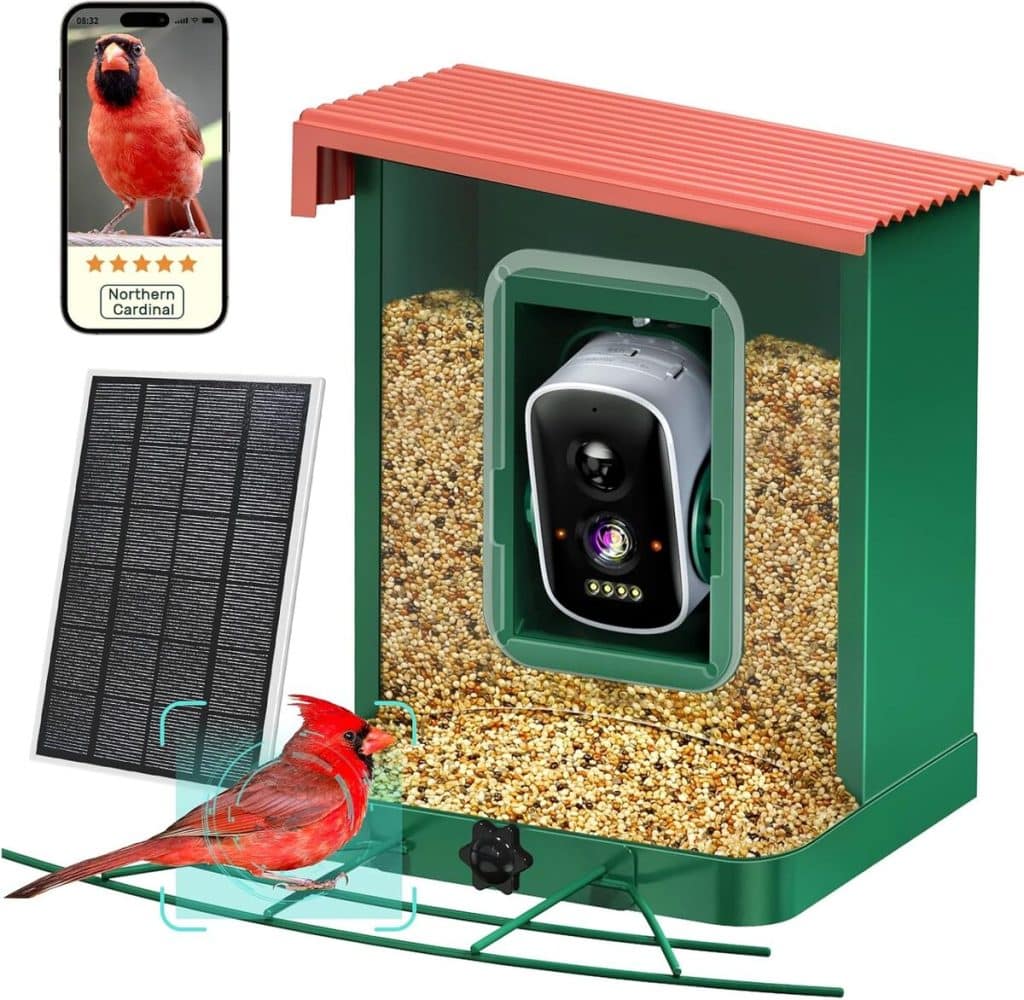 Test de la mangeoire à oiseaux avec caméra solaire et AI : robustesse et innovation