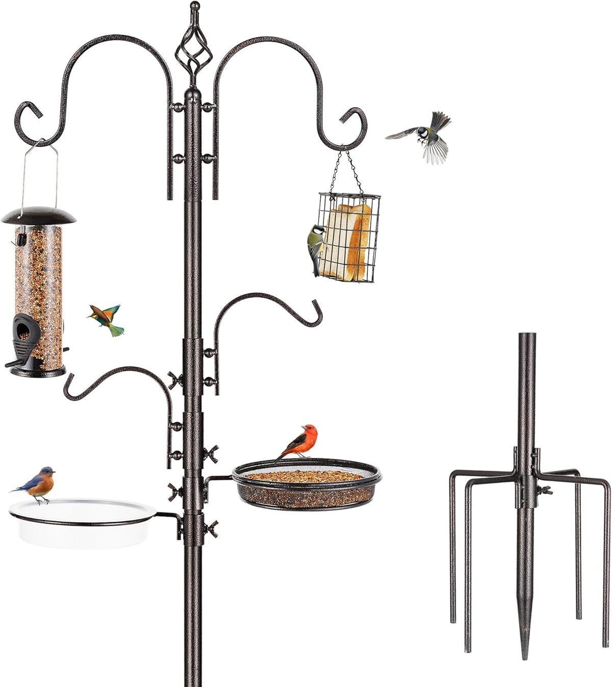 Test du kit de mangeoire MIXXIDEA pour oiseaux sauvages