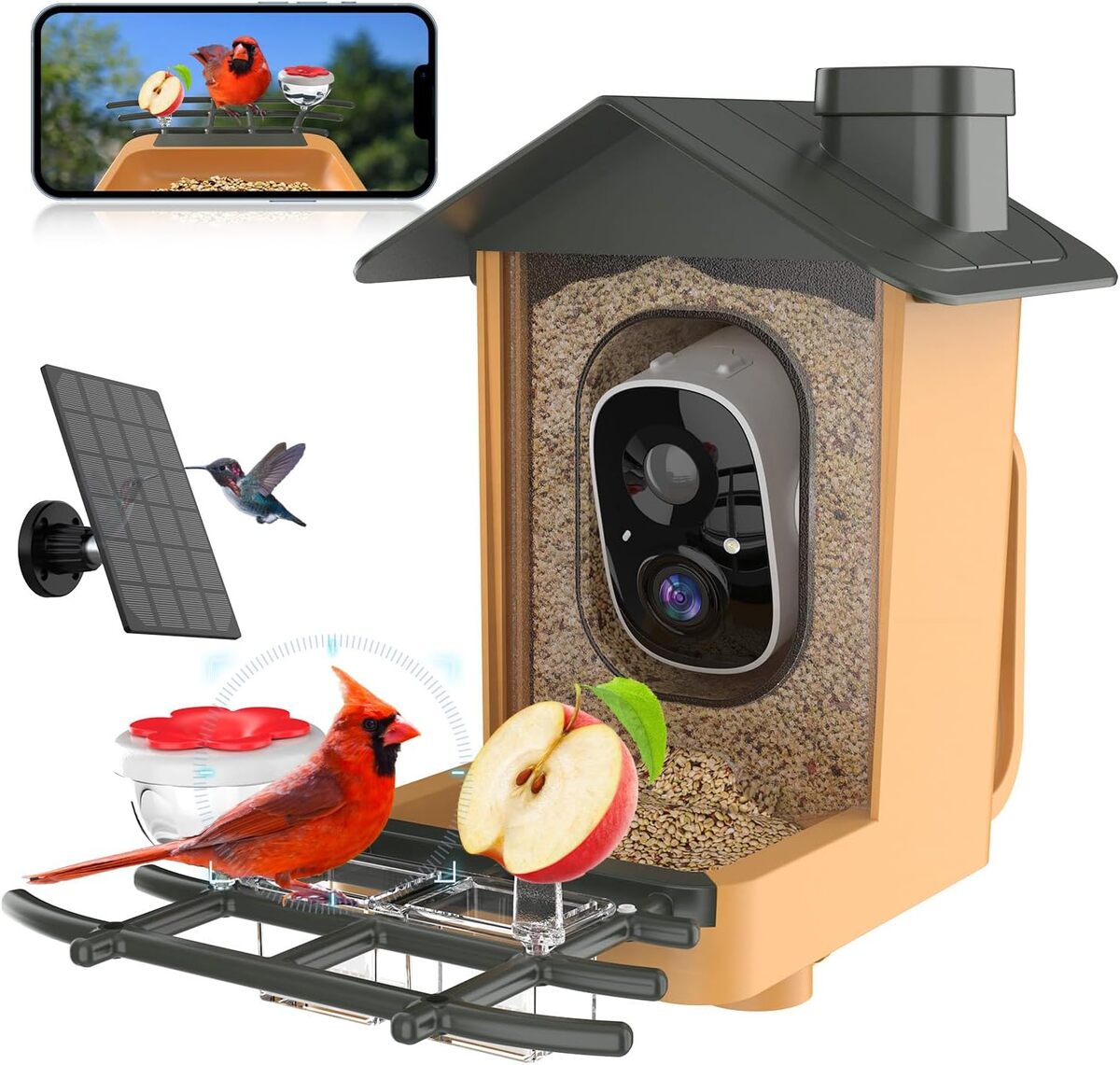 Test mangeoire à oiseaux avec caméra HD 2K et identification AI